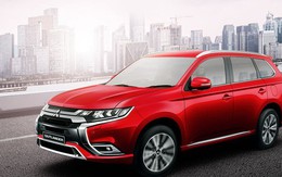 Website đã xóa tên, đại lý dừng nhận cọc, tượng đài một thời đối mặt với "án tử" tại Việt Nam