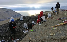 Xuất hiện đàn thủy quái 249 triệu tuổi đảo lộn lịch sử tiến hóa