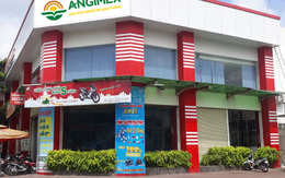 Angimex bị xử phạt do vi phạm công bố thông tin