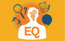 Vì sao người EQ cao không bao giờ ‘đau’ khi bị phê bình? Nghệ thuật phản hồi giúp biến mọi lời chê thành lợi thế!