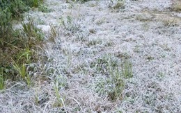Nhiệt độ xuống dưới 0 độ C, băng giá xuất hiện ở miền núi Nghệ An