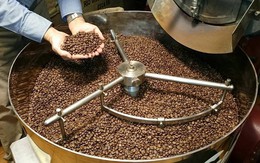 Mỹ vừa làm một điều, mở 'cơ hội vàng' cho loại hạt tỉ đô của Việt Nam tăng tốc chiếm thị phần