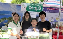 'Cô chủ nhỏ' làm giàu từ ... lá ổi