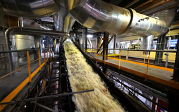 Một ngành ở châu Âu gặp khủng hoảng nghiêm trọng: Càng làm càng lỗ, giá chạm đáy, biên lợi nhuận rơi xuống âm