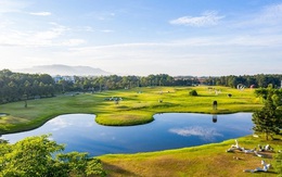 Bảo tàng ngoài trời nằm giữa rừng thông đang gây sốt: Cách Hà Nội hơn 1 tiếng lái xe, quy tụ hơn 100 tác phẩm được dàn dựng giữa không gian ngập nắng và gió