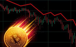 Thị trường tiền số hôm nay, 1-12: Nhà đầu tư lo Bitcoin rớt xuống 40.000 USD