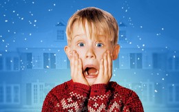 Ngoài sức tưởng tượng: Nhóm Vingroup đóng góp 320 điểm vào VN-Index từ đầu năm