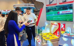 Cáp ngầm trung thế CADIVI gây ấn tượng tại Hội nghị điện lực 2025