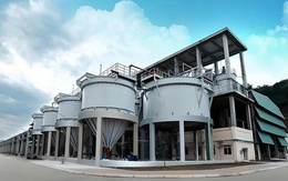 Phốt pho Apatit Việt Nam sắp chia cổ tức bằng tiền mặt tỷ lệ 100%