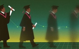 Thảm họa việc làm vì AI: Sinh viên tốt nghiệp không tìm được việc, 5 năm học kỹ thuật hóa vô ích