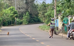 Chỉ trong 1 buổi sáng, tổ bắt chó thả rông của 1 xã ở TP HCM tóm tổng cộng 7 con