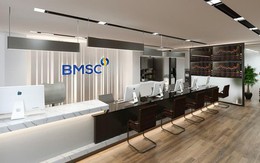 Lộ diện 5 doanh nghiệp mua hơn 48 triệu cổ phiếu 'ế' của Chứng khoán Bảo Minh