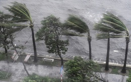 Người dân khu vực này đặc biệt lưu ý: Chỉ ít giờ tới, nguy cơ gió mạnh và mưa dông rất cao