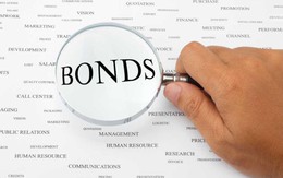 DIG mua lại 800 tỷ đồng trái phiếu