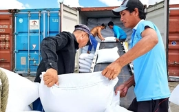 Philippines 'phanh gấp' nhập khẩu, gạo Việt chuyển hướng không ngờ