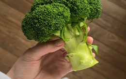 Đến giờ tôi mới biết 2 thứ này trên bông cải xanh chống ung thư gấp 100 lần phần bông! "Tiếc hùi hụi" vì toàn vứt bỏ
