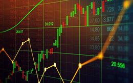Cổ phiếu ngân hàng của năm: Ai có mức tăng giá ấn tượng, thanh khoản khổng lồ, cổ tức cao và được nhà đầu tư yêu thích?