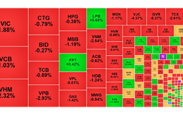 Chứng khoán ngày 11/12: VN-Index một lần nữa mất mốc 1.700 điểm