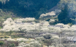 Việt Nam có 1 nơi được Giải thưởng Du lịch Thế giới gọi tên tới 3 lần: Đang mùa hoa mận phủ trắng đồi, “viên ngọc quý” giữa lòng Tây Bắc