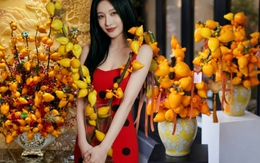 "Cây tài lộc" ít người biết: Quả vàng óng 5 múi, chưng Tết 2026 mang ý nghĩa "ngũ phúc lâm môn", tiền vào như nước