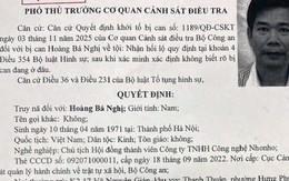 Bộ Công an truy nã đặc biệt Hoàng Bá Nghị, Chủ tịch Công ty NhoNho