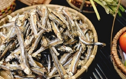 Đi chợ thấy 6 loại cá này thì mua này, vừa ít "ngậm" thủy ngân, vừa giàu dinh dưỡng, lại giá rẻ