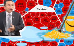 Chuyên gia lý giải nguyên nhân chứng khoán Việt Nam "sale off" 52 điểm ngày 12-12
