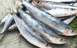 Chợ Việt có 4 loại cá sạch dễ mua, gần như không lo nhiễm kim loại nặng