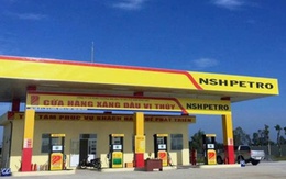 NSH Petro có Tổng Giám đốc mới sau gần 2 tháng để ‘trống ghế’