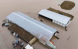 Trận lũ lịch sử cuốn trôi nhà cửa, cô lập hàng nghìn gia đình ở bang Washington