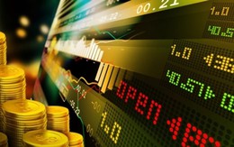 Hướng tới một thị trường vàng minh bạch, lành mạnh và tiệm cận chuẩn quốc tế