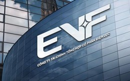EVF hướng tới mục tiêu lợi nhuận 960 tỷ đồng năm 2025 sau tái định vị