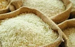 Giá gạo Thái Lan cao nhất sáu tháng