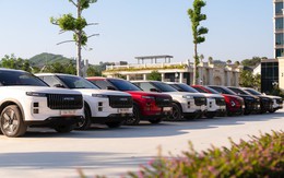 Một năm ra mắt thị trường, thương hiệu ô tô Trung Quốc này đã mở 40 showroom tại Việt Nam