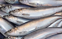 Cá hồi chỉ đứng thứ 3 trong bảng xếp hạng omega 3, loại cá bình dân bán đầy chợ Việt mới là "trùm cuối"