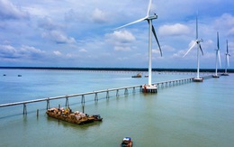 EVN khởi công, khánh thành 18 công trình dịp 19/12