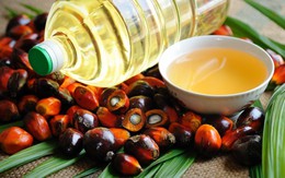 Ấn Độ tăng cường nhập khẩu dầu cọ từ Đông Nam Á