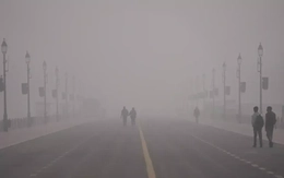 Khói mù độc hại bao phủ New Delhi, giao thông gián đoạn