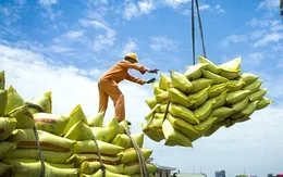 Việt Nam xuất khẩu 7,5 triệu tấn gạo