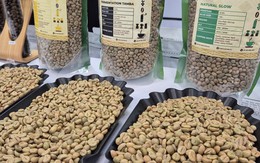 Giá cà phê hôm nay 16-12: Thủng mốc quan trọng, Đức chi hơn 1 tỉ USD nhập cà phê Việt