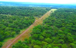 Chấp thuận chủ trương đầu tư sân golf nghìn tỷ ở Gia Lai