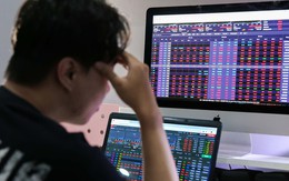 Hàng loạt cổ phiếu "bom tấn" rớt giá thảm sau IPO, nhà đầu tư khóc ròng, vì sao?