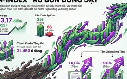VN-Index "rũ bùn đứng dậy", tăng hơn 33 điểm