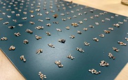 Bắt giữ du khách mang theo 11.000 viên kim cương trong hành lý xách tay đến Đức