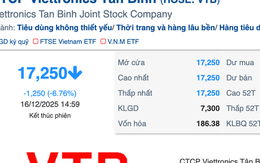 Vì sao Viettronics Tân Bình giảm sàn 5 phiên sau khi đại gia Vũ Văn Tiền thâu tóm?
