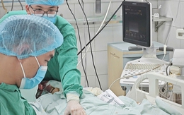 Nữ giáo viên nguy kịch sau bữa bún ngan