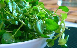 Chợ Việt có loại rau 10.000/bó, là "trùm cuối" chống ung thư được cả thế giới công nhận