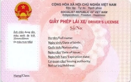 Có bắt buộc phải đổi Giấy phép lái xe mới màu hồng ngay trong năm 2025?