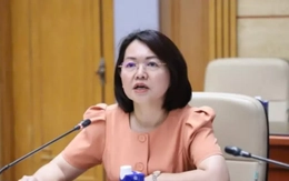 Cựu Cục trưởng Trần Việt Nga ‘ngâm hồ sơ’, buộc doanh nghiệp chi hơn 8 tỷ đồng