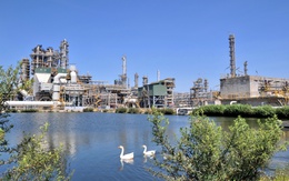 BSR chủ động vượt “bão” năm 2026